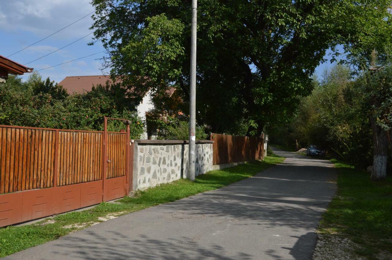 Baza Sportiva Adelina Hotel Câmpulung Buitenkant foto