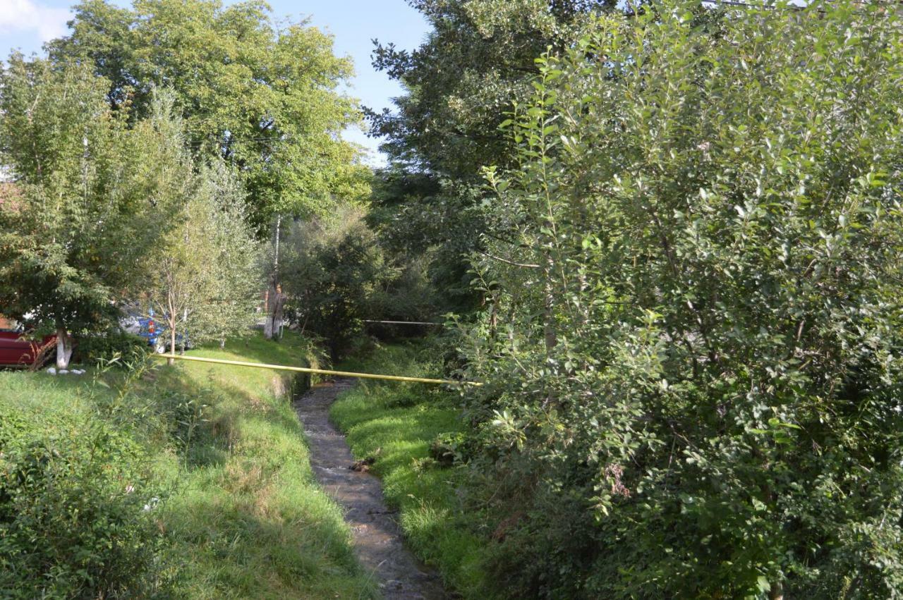 Baza Sportiva Adelina Hotel Câmpulung Buitenkant foto